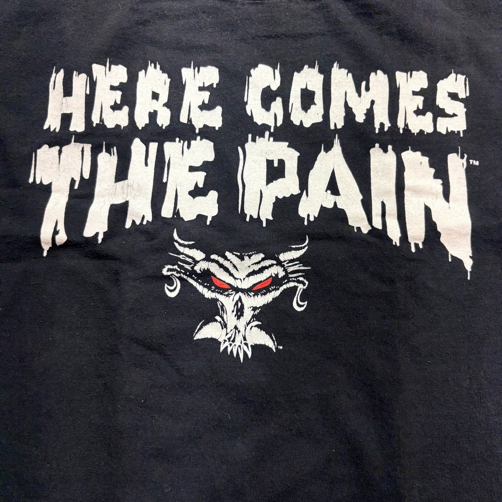 Vintage Brock Lesnar WWE Here Comes The Pain T-Shirt Mens Medium Black Graphic - Picture 2 of 9